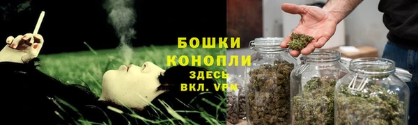 шишки Карталы
