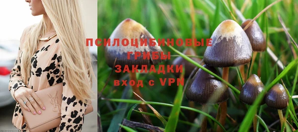 ECSTASY Кинешма